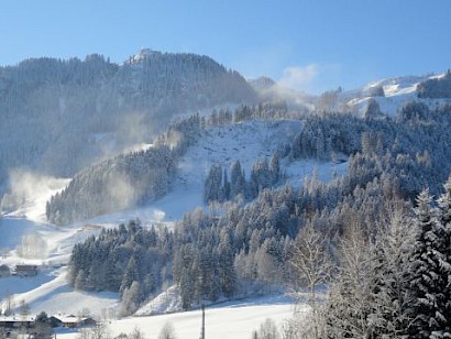 Der Hahnenkamm trägt weiss