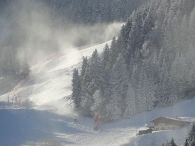 Der Hahnenkamm trägt weiss