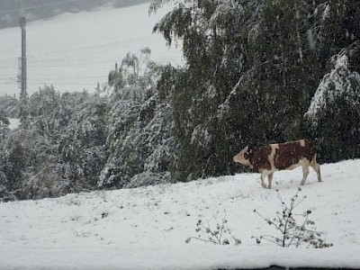 Auf sommerliche Temperaturen folgte erster Schnee im September.