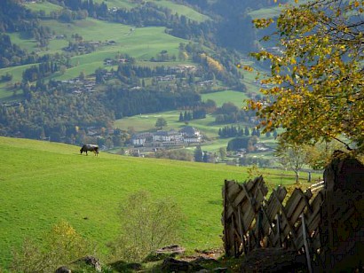 Sommer- und Herbsttermine