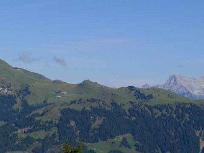 Imposante Blicke auf Kitzbüheler Horn und die Loferer Steinberge und zum Wilden Kaiser.