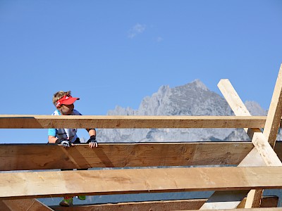 Zwei Siege, sieben Podiumsränge