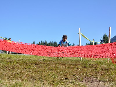 Zwei Siege, sieben Podiumsränge