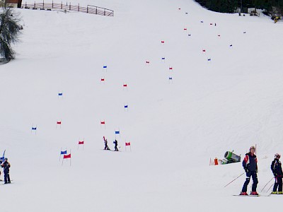 Ganslernhang im Blickfeld