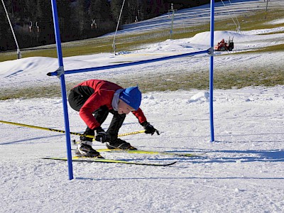 Gemeinsames LL-Vielseitigkeitstraining