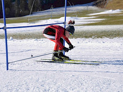 Gemeinsames LL-Vielseitigkeitstraining