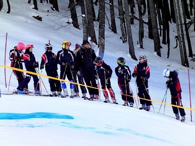 NÖM Milch Kids Cup 2013 in Seefeld