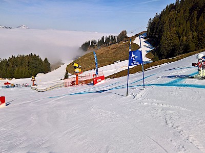 Nebel verzögerte Programm - warten hat sich gelohnt