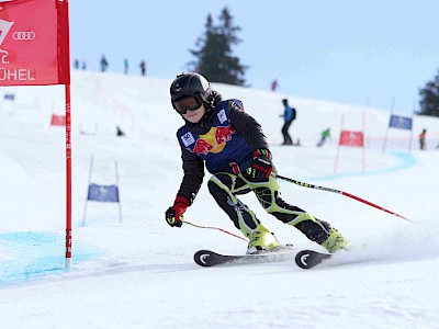 Die Clubmeister 2017 gekürt: Valerija Knezevic und Marco Pöll