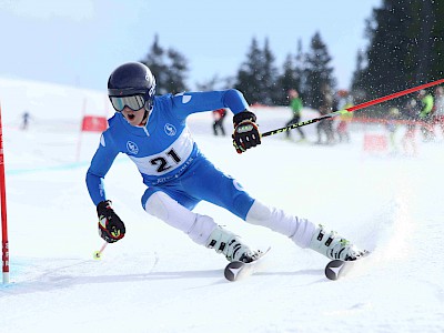 Die Clubmeister 2017 gekürt: Valerija Knezevic und Marco Pöll