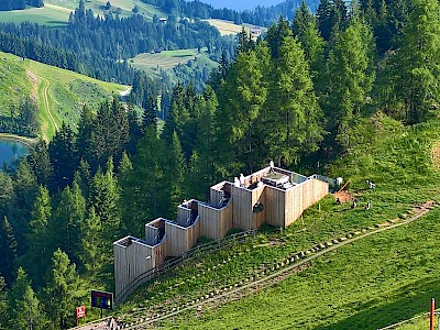 "Hahnenkamm-Team" auf Rang zwei