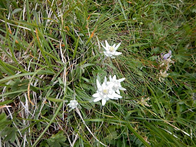 Mit dem Bergwochenende in den Sommer