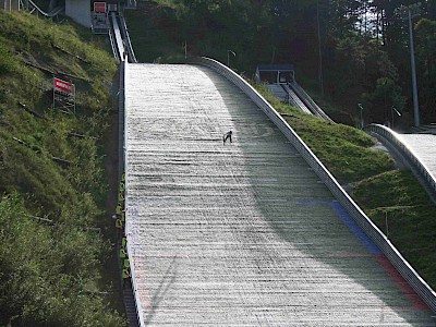 Florian Dagn gut dabei - nun auch in Oberstdorf