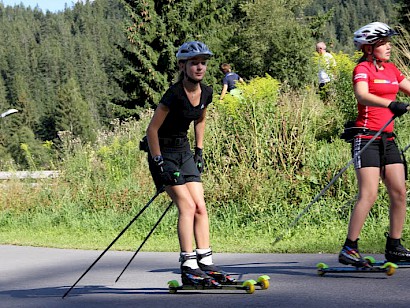 Aktuelle Trainingspläne