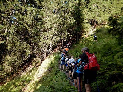 Langlauf & Biathlon: Intensität steigt