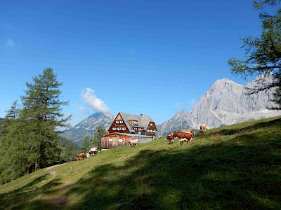 Langlauf & Biathlon: Intensität steigt