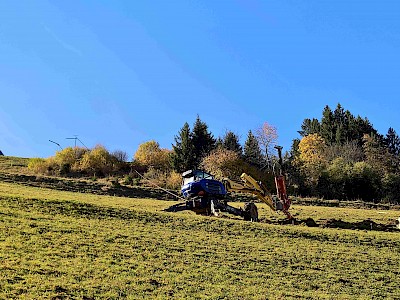 Hausberg bekommt ein Netz