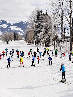 Gemeinsames Bezirkstraining der Langläufer auf der Sportloipe - 