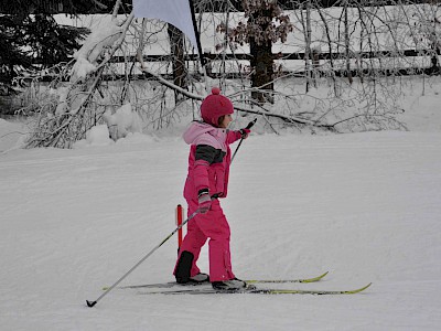 Gemeinsames Bezirkstraining der Langläufer auf der Sportloipe