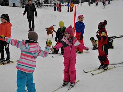 Gemeinsames Bezirkstraining der Langläufer auf der Sportloipe