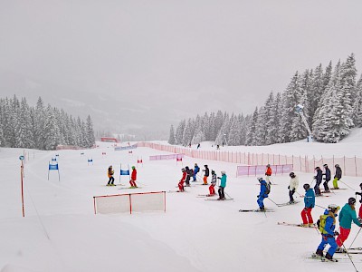 Audi quattro Ski Cup ein Erfolg!