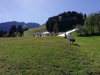 Große Müllsammel Aktion - KSC-Nachwuchs, Trainer und Eltern im Einsatz!