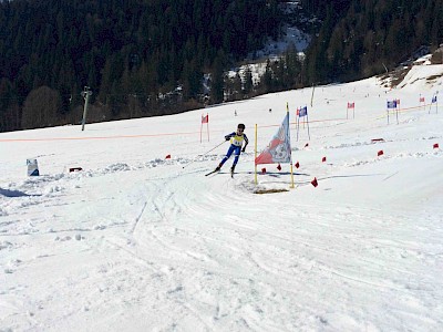 Sechs Siege gingen an die KSC Langläufer