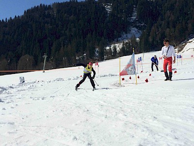 Sechs Siege gingen an die KSC Langläufer