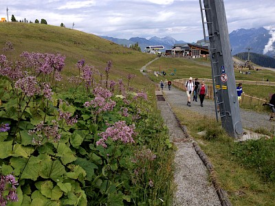 Das Ziel liegt im Zillertal