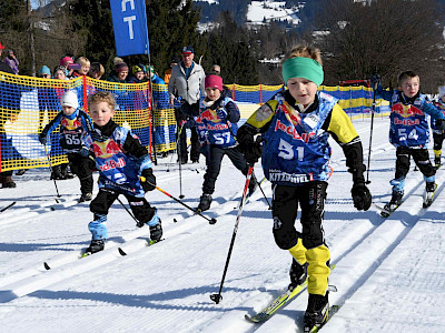 Beste Bedingungen beim Langlauf Bezirkscup