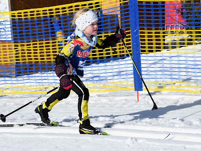 Beste Bedingungen beim Langlauf Bezirkscup