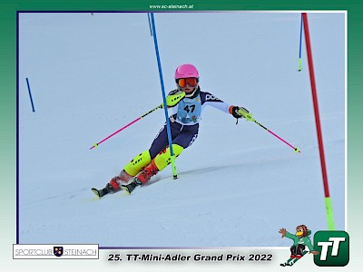 25. Mini-Adler Grand Prix der Tiroler Tageszeitung Slalom