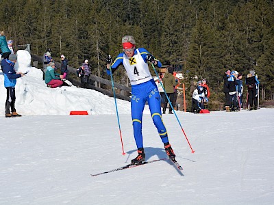 Erfolgreiche Tiroler Staffelmeisterschaft für den KSC in Seefeld! 