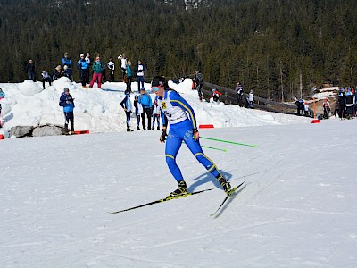 Erfolgreiche Tiroler Staffelmeisterschaft für den KSC in Seefeld! 