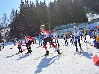 Erfolgreiche Tiroler Staffelmeisterschaft für den KSC in Seefeld! 