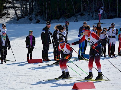 Erfolgreiche Tiroler Staffelmeisterschaft für den KSC in Seefeld! 