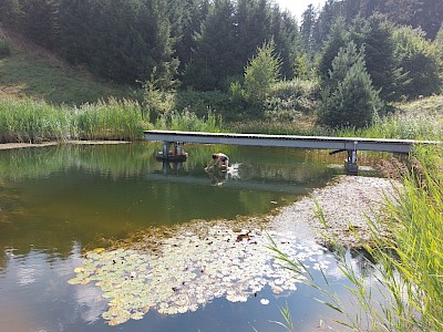 Trainingslager in Höhnhart, 11.-.14.08.2022