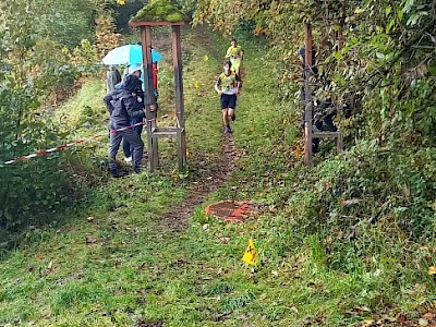 SPRUNGLAUF - Austria Cup Wochenende in Bischofshofen