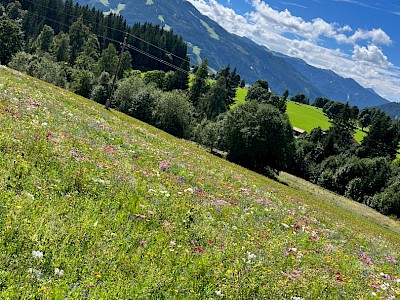 Trainingskurs Ramsau am Dachstein