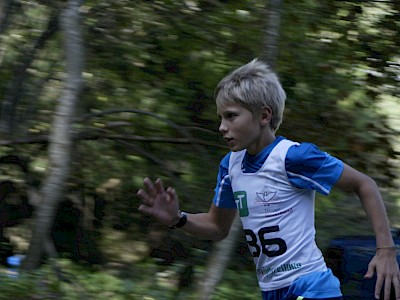 Erfolgreicher TSV-Cup unserer Springer und Kombinierer in Absam!