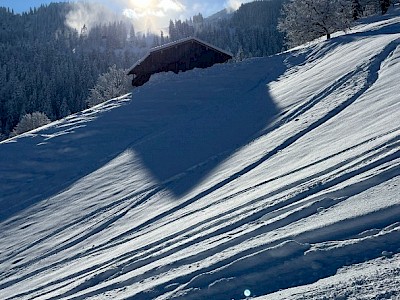 Gelungener Winterstart - Urkunde für Hias Leitner