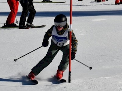 LUKAS & THOMAS MOSER zwei großartige Skifahrer die nicht zu bremsen sind