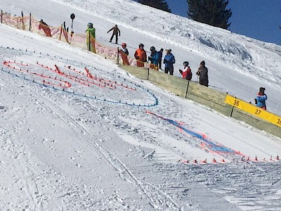 Kogler schafft Kader-Limit