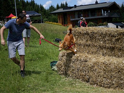 TSV-Cup in Kitzbühel, 08.06.2024