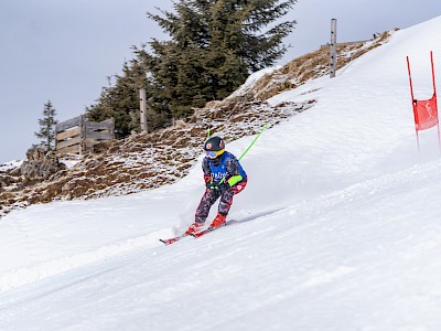 Heimsieg zum Auftakt der Virtus Open