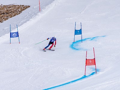 Heimsieg zum Auftakt der Virtus Open