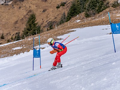 Heimsieg zum Auftakt der Virtus Open