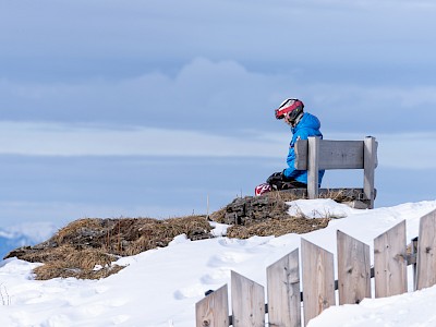 Frankreich und Österreich geben den Ton an