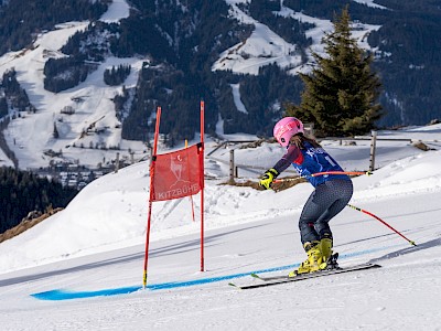 Frankreich und Österreich geben den Ton an