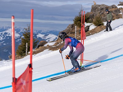 Frankreich und Österreich geben den Ton an